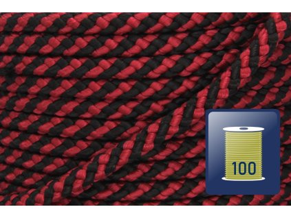 420.165.299 303S s100 01