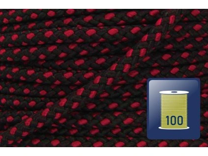 420.165.299 303DD s100 01