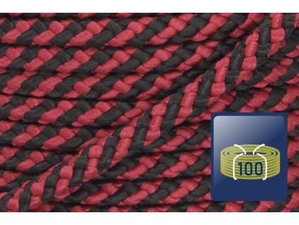 420.165.312 303S b100 01