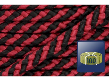 420.165.314 303s b100 01