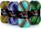 Tulip color (VH)