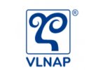 Vlnap