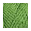 příze Everyday 70011 zelená