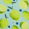 Bavlněná látka Fruits limetky