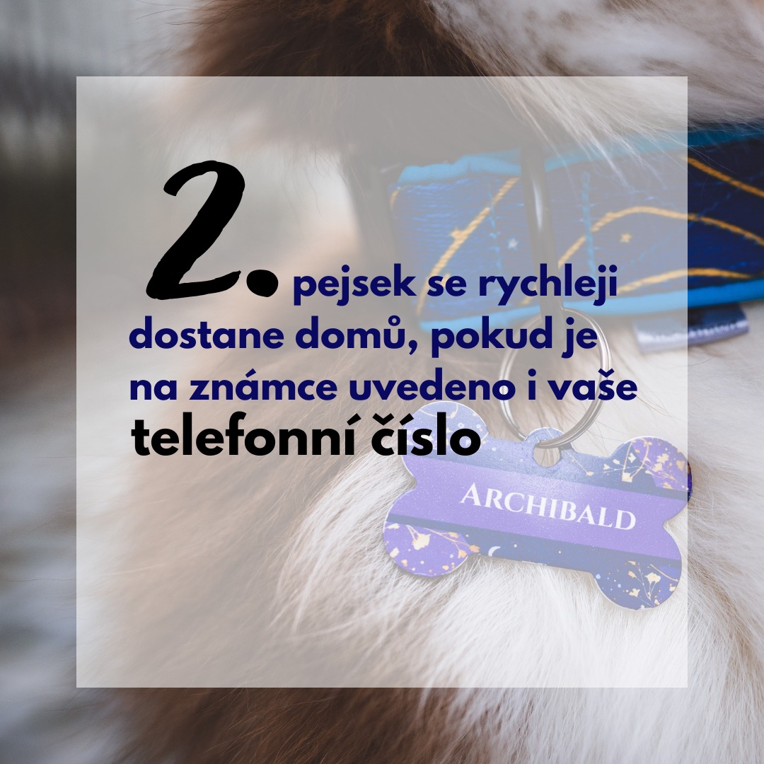 Jmenovka_2