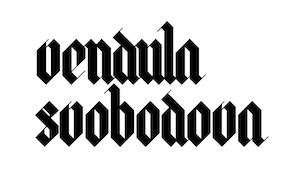 vendulasvobodova.art