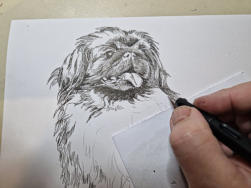 Pekingský palácový psík