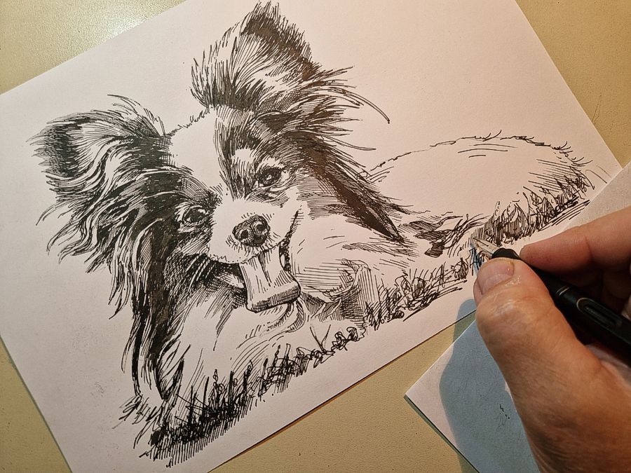 papillion