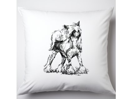 Polštář chochol 1