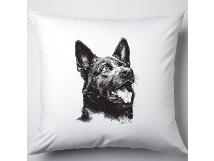 Polštář ovčák 1