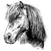 pony eshop