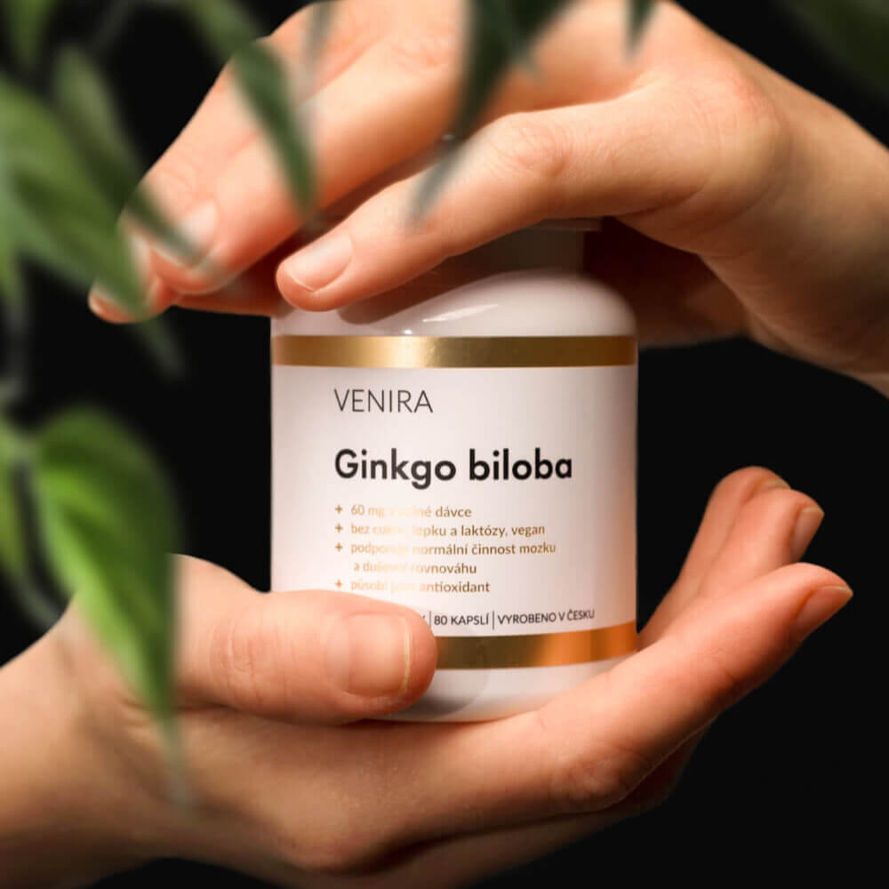 Ginkgo biloba