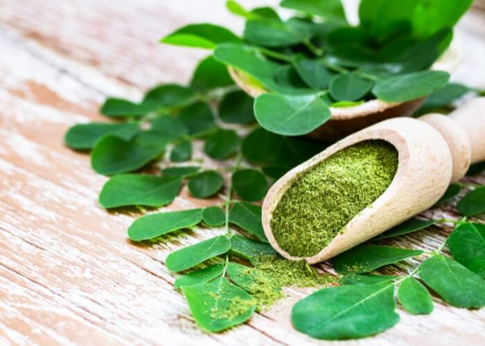 Moringa olejodárná: 7 důvodů, proč ji vyzkoušet