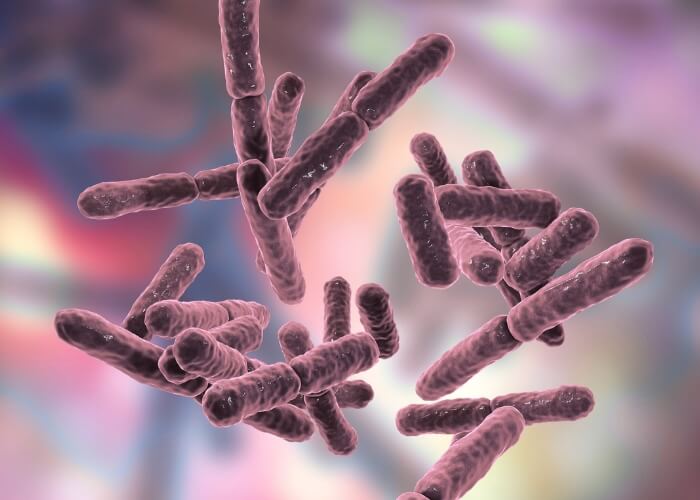 Probiotika vs. prebiotika: Jaký je rozdíl a co je pro nás lepší?