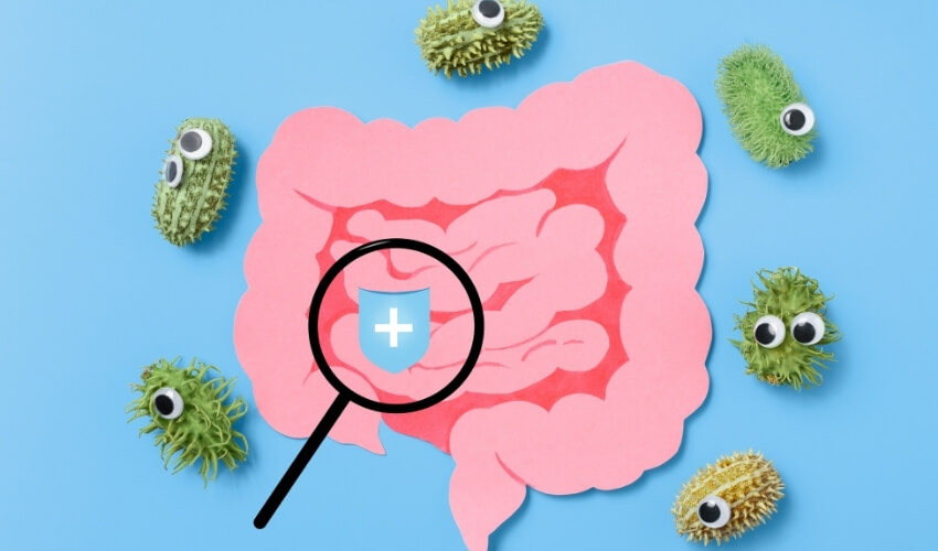 Rozdíl mezi probiotiky a prebiotiky