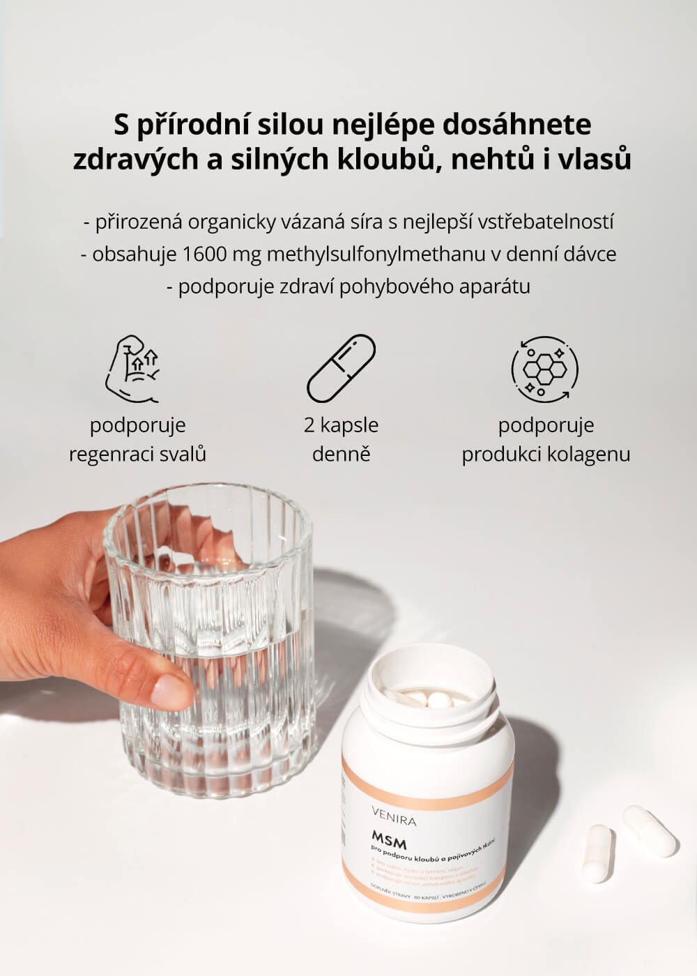 VENIRA MSM pro pohybový aparát, 80 kapslí