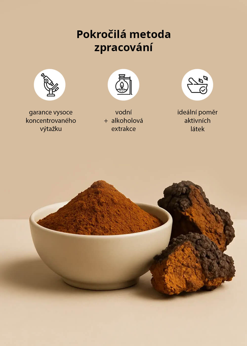 VENIRA chaga sibiřská - 60 kapslí