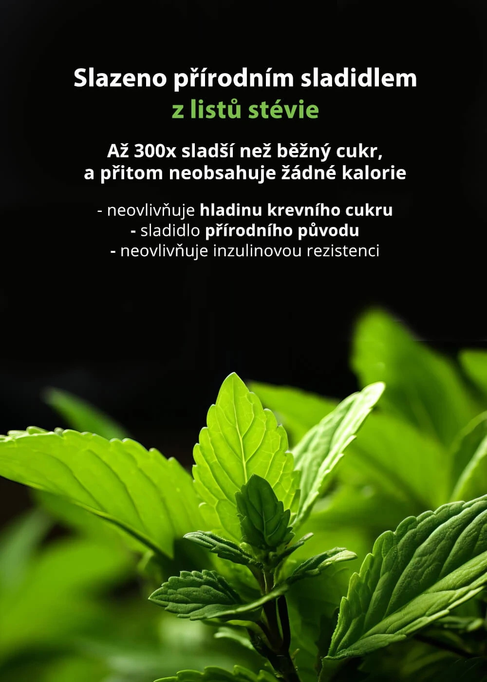 VENIRA light greens + prebiotika, mix 3 příchutí, 30 sáčků, 168 g