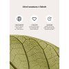 COMPLEX FOR VASCULAR SUPPORT CZ