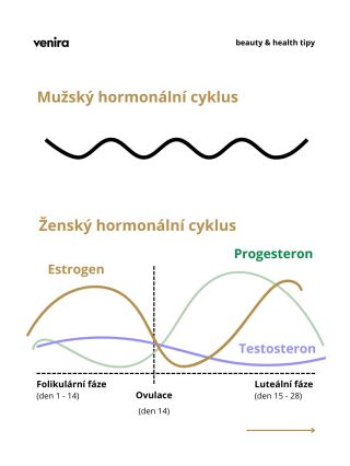 Muži a ženy nefungují stejně a nikdy fungovat nebudou.👱🏼‍♀️🧔🏻‍♂️ Muži jedou převážně 24hodinový hormonální cyklus, který...