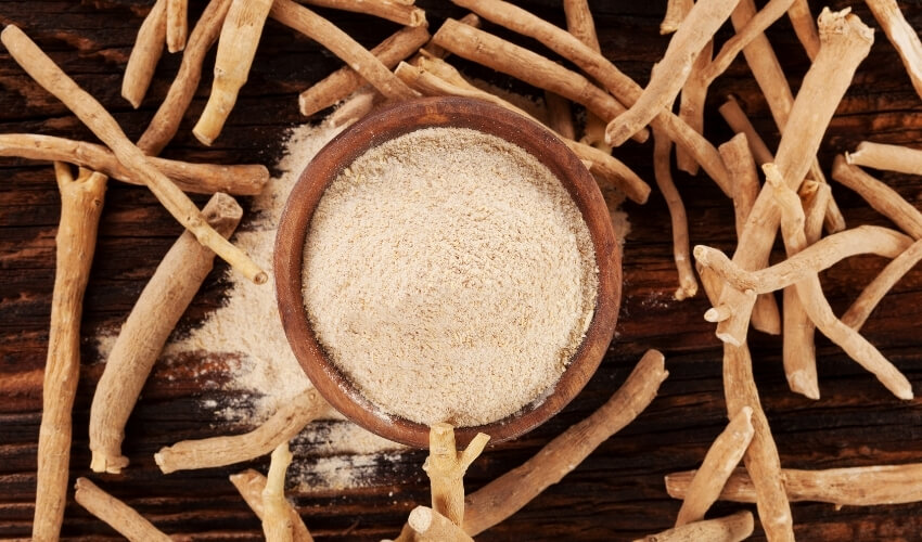 Najznámejšie adaptogény: ashwagandha, reishi, cordyceps a maca