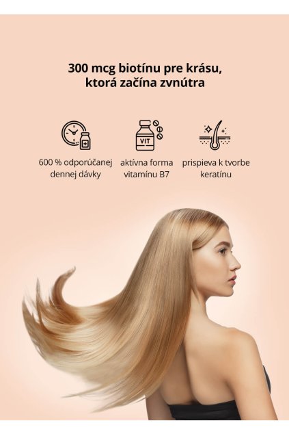 SK 1 kopie