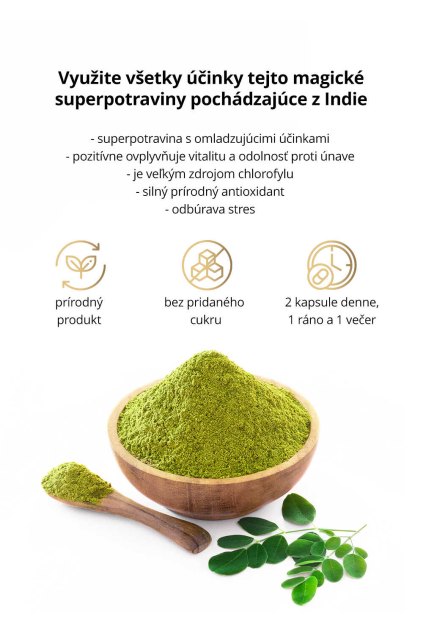 moringa infografika sk optimized