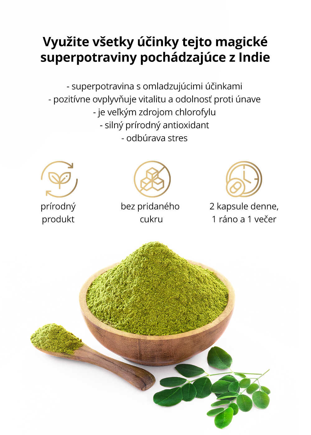 moringa infografika sk optimized