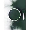 SPIRULINA