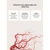 COMPLEX FOR VASCULAR SUPPORT SK 1