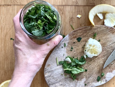 Recept na meduňkový koncentrovaný sirup