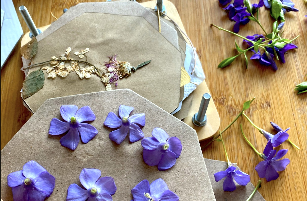 Tipy a triky na lisování květin