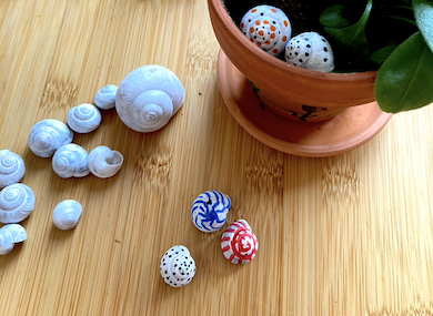 Šnečí ulity jako barevná dekorace