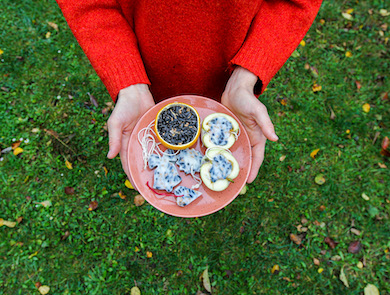 Příkrmy ptáků v zimě aneb semínkové ozdoby 🐦