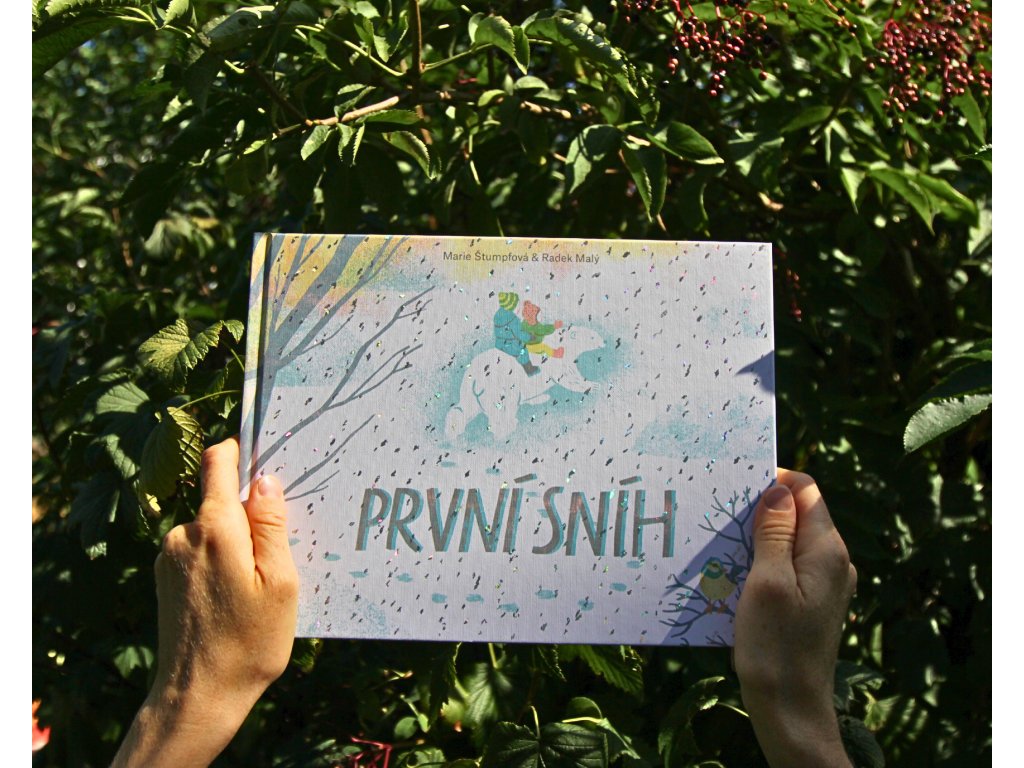 132_prvni-snih