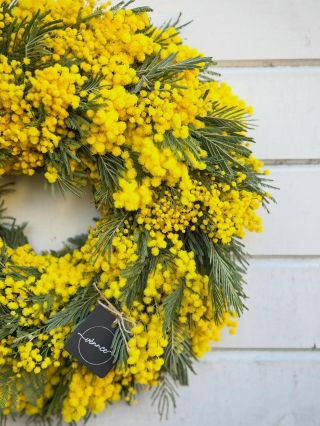 Jedno splněné přání a moje první seznámení s mimózou. Zdobit bude krásný domov u @design_home_by_anna. 💛💛💛 #mimosa...