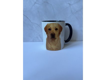 Hrnek - Labrador 330 ml