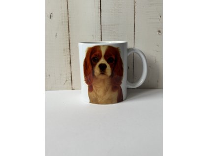 Hrnek - Kavalír King Charles španěl 330 ml