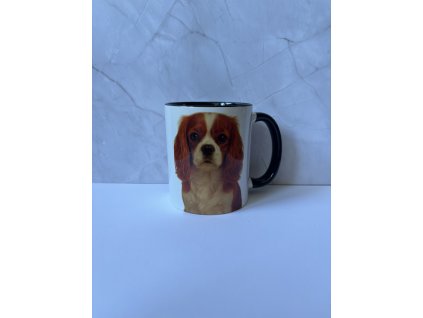 Hrnek - Kavalír King Charles španěl 330 ml