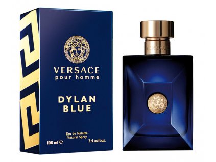 Versace Pour Homme Dylan Blue toaletní voda pánská 100 ml