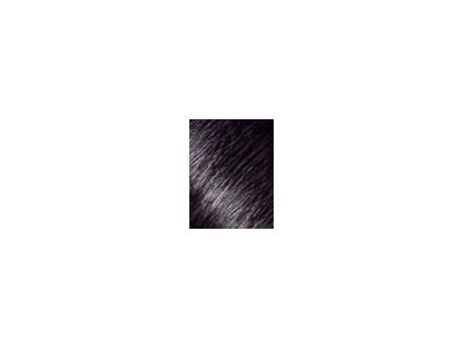 L´Oréal Paris Casting Creme Gloss Barva na vlasy 48 ml 200 Ebony Black