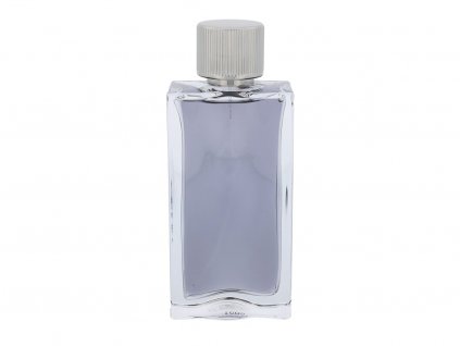 Abercrombie & Fitch First Instinct toaletní voda pánská 100 ml