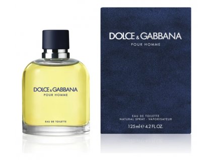 dolce gabbana pour homme toaletni voda pro muze 31 (1)