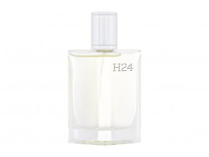 Hermes H24