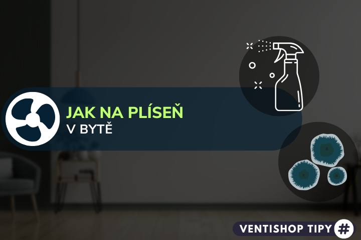 Jak na plíseň v bytě?