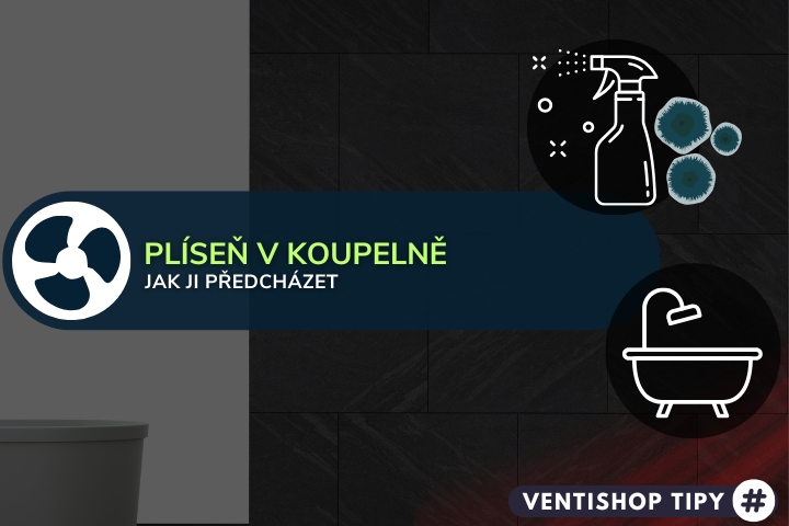 Plíseň v koupelně: proč se dělá, prevence, jak ji odstranit