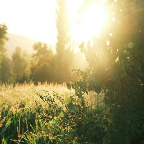 Letní by-pass rekuperační jednotky