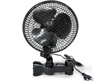 1fan urbnn