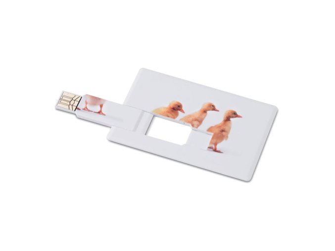 16956 B1 usb memory stick 16gb bila