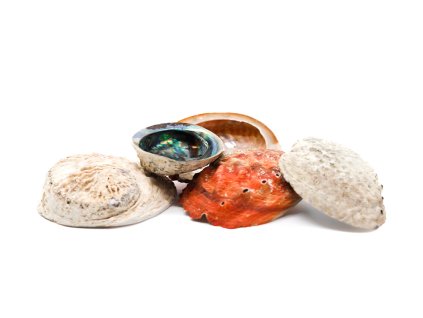Abalone mušle australská Paua - přírodní kadidelnice